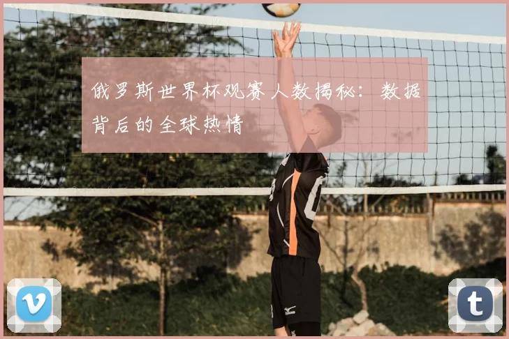 俄罗斯世界杯观赛人数揭秘：数据背后的全球热情