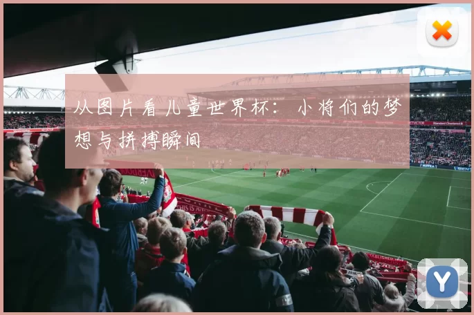 从图片看儿童世界杯：小将们的梦想与拼搏瞬间