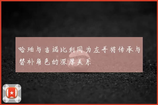 哈珀与吉诺比利同为左手将传承与替补角色的深厚关系
