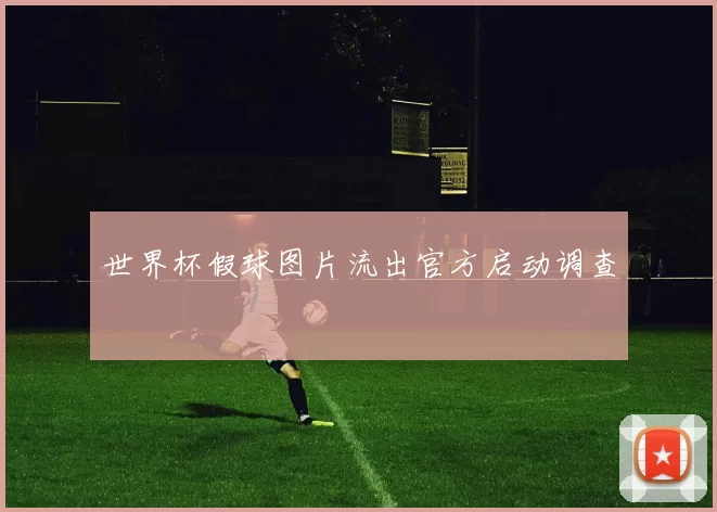世界杯假球图片流出官方启动调查