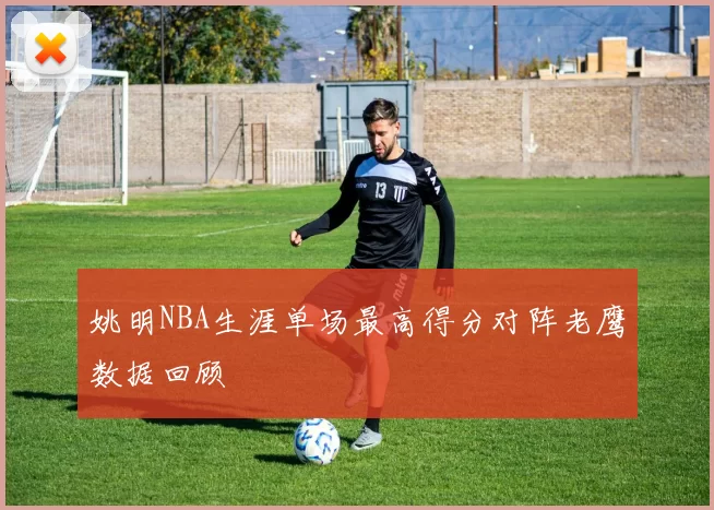 姚明NBA生涯单场最高得分对阵老鹰数据回顾