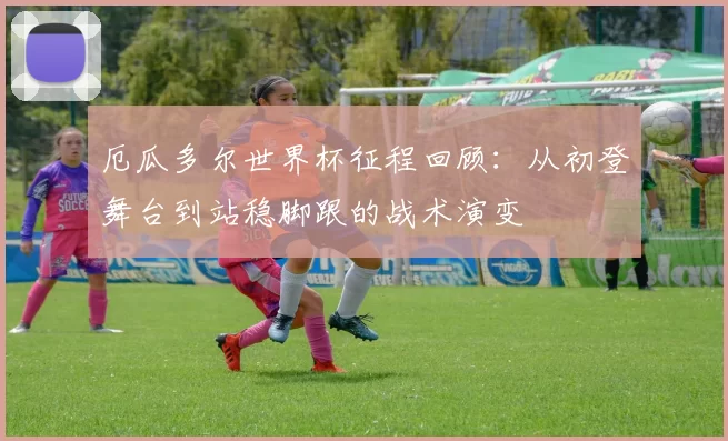 厄瓜多尔世界杯征程回顾:从初登舞台到站稳脚跟的战术演变