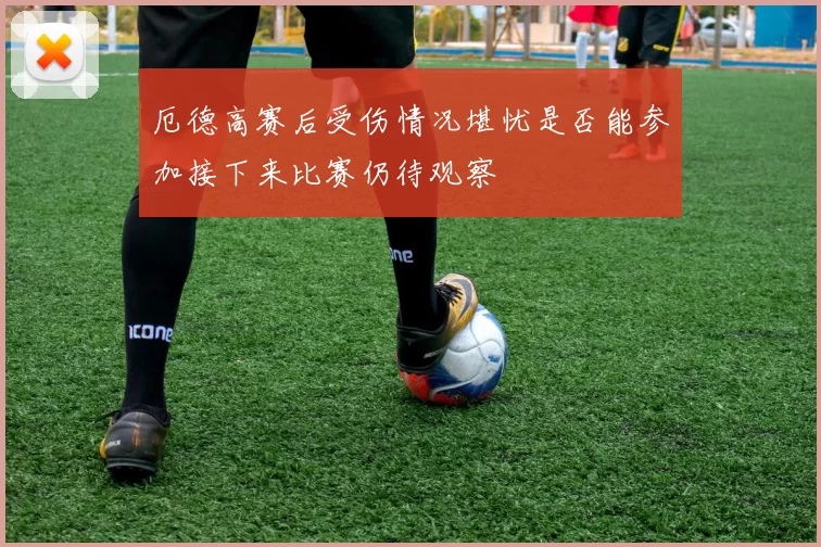 厄德高赛后受伤情况堪忧是否能参加接下来比赛仍待观察