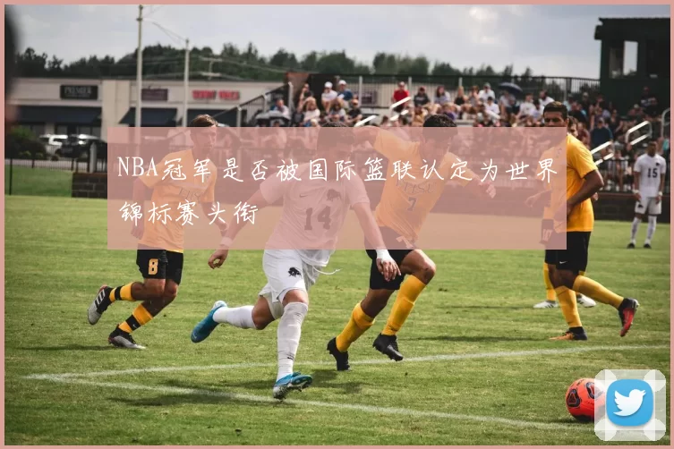 NBA冠军是否被国际篮联认定为世界锦标赛头衔