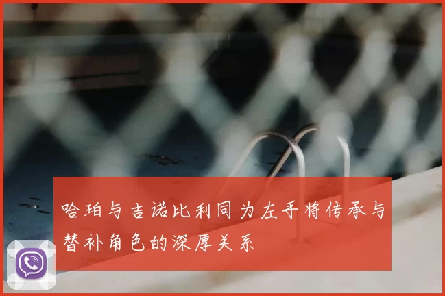 哈珀与吉诺比利同为左手将传承与替补角色的深厚关系