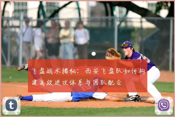 飞盘战术揭秘:西安飞盘队如何构建高效进攻体系与团队配合