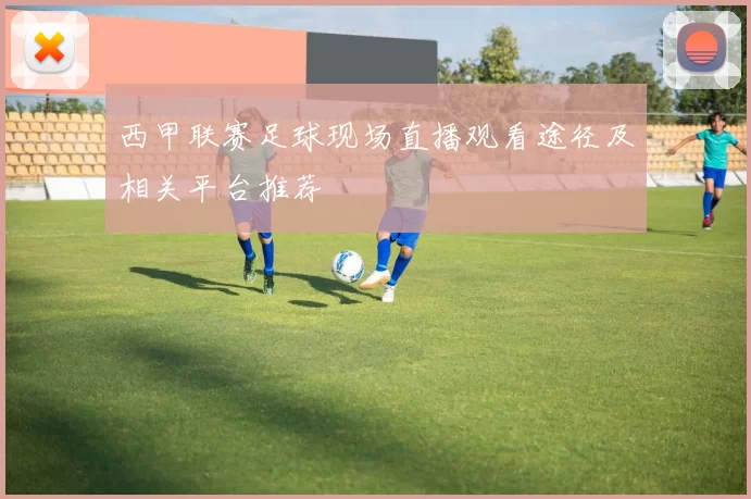 西甲联赛足球现场直播观看途径及相关平台推荐