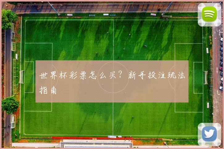世界杯彩票怎么买?新手投注玩法指南