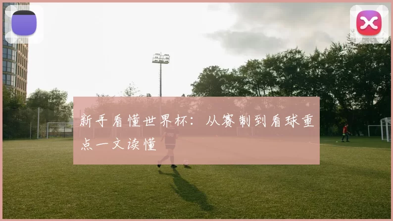 新手看懂世界杯：从赛制到看球重点一文读懂