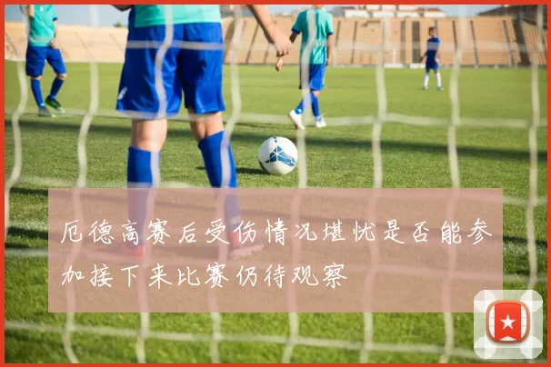 厄德高赛后受伤情况堪忧是否能参加接下来比赛仍待观察
