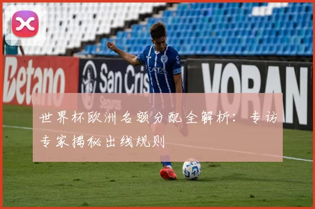 世界杯欧洲名额分配全解析：专访专家揭秘出线规则
