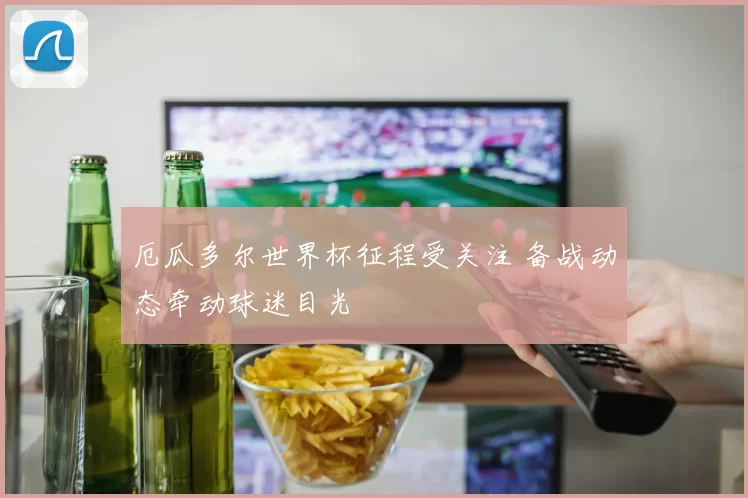 厄瓜多尔世界杯征程受关注 备战动态牵动球迷目光