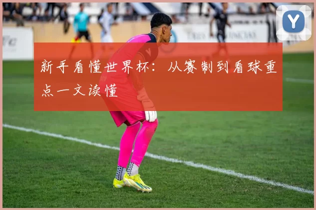 新手看懂世界杯：从赛制到看球重点一文读懂